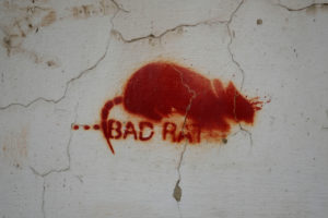Europe, Czech Republic, Prague, wall, graffiti, stencil, bad rat Europe, Czech Republic, Prague, wall, graffiti, stencil, bad rat